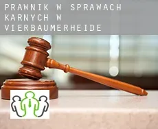 Prawnik w sprawach karnych w  Vierbaumerheide