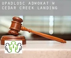 Upadłość adwokat w  Cedar Creek Landing