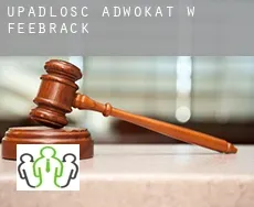 Upadłość adwokat w  Feebrack