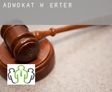 Adwokat w  Erter