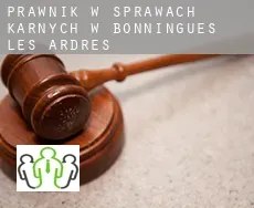 Prawnik w sprawach karnych w  Bonningues-lès-Ardres