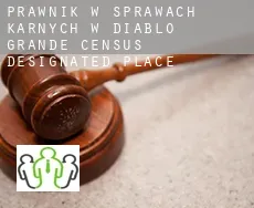 Prawnik w sprawach karnych w  Diablo Grande