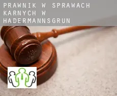 Prawnik w sprawach karnych w  Hadermannsgrün