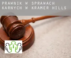Prawnik w sprawach karnych w  Kramer Hills