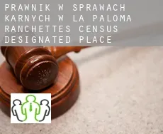 Prawnik w sprawach karnych w  La Paloma Ranchettes