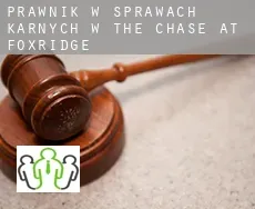 Prawnik w sprawach karnych w  The Chase at Foxridge