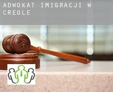 Adwokat imigracji w  Creole