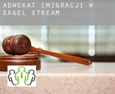 Adwokat imigracji w  Eagel Stream