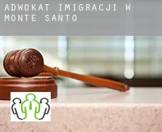 Adwokat imigracji w  Monte Santo