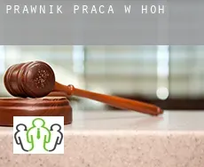 Prawnik praca w  Höh