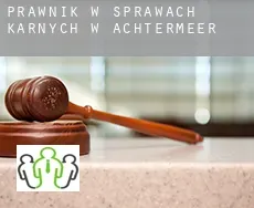 Prawnik w sprawach karnych w  Achtermeer