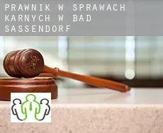 Prawnik w sprawach karnych w  Bad Sassendorf