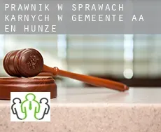 Prawnik w sprawach karnych w  Gemeente Aa en Hunze