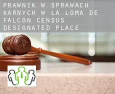 Prawnik w sprawach karnych w  La Loma de Falcon