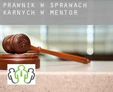Prawnik w sprawach karnych w  Mentor