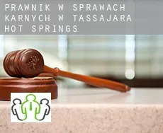 Prawnik w sprawach karnych w  Tassajara Hot Springs