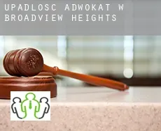 Upadłość adwokat w  Broadview Heights