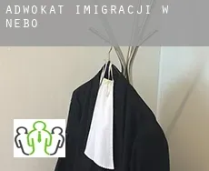 Adwokat imigracji w  Nebo