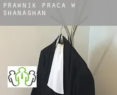 Prawnik praca w  Shanaghan