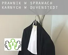 Prawnik w sprawach karnych w  Duvenstedt