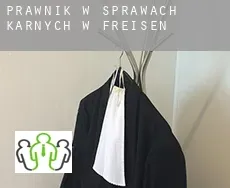 Prawnik w sprawach karnych w  Freisen