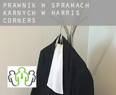 Prawnik w sprawach karnych w  Harris Corners