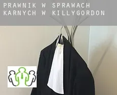 Prawnik w sprawach karnych w Killygordon