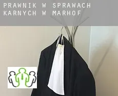 Prawnik w sprawach karnych w  Marhof