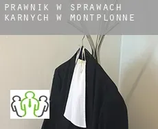 Prawnik w sprawach karnych w  Montplonne