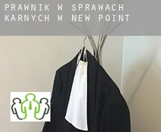 Prawnik w sprawach karnych w  New Point