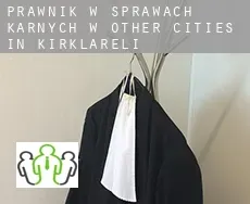Prawnik w sprawach karnych w  Other cities in Kirklareli