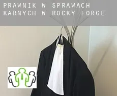 Prawnik w sprawach karnych w  Rocky Forge