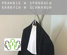 Prawnik w sprawach karnych w  Schwanow