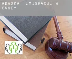 Adwokat imigracji w  Caney