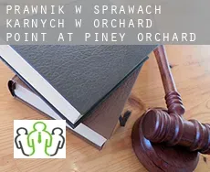 Prawnik w sprawach karnych w  Orchard Point at Piney Orchard