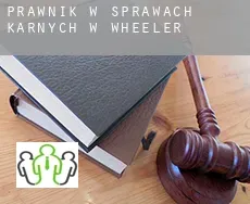 Prawnik w sprawach karnych w  Wheeler