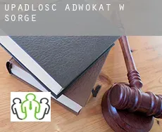 Upadłość adwokat w  Sorge