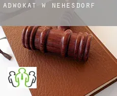 Adwokat w  Nehesdorf