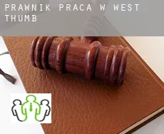 Prawnik praca w  West Thumb