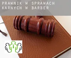Prawnik w sprawach karnych w Barber