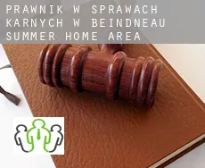 Prawnik w sprawach karnych w  Beindneau Summer Home Area