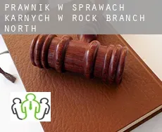 Prawnik w sprawach karnych w  Rock Branch North