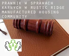 Prawnik w sprawach karnych w  Rustic Ridge Manufactured Housing Community