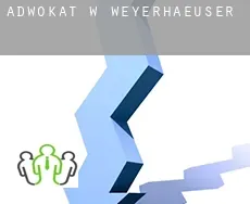 Adwokat w  Weyerhaeuser