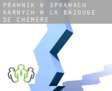 Prawnik w sprawach karnych w  La Bazouge-de-Chemeré