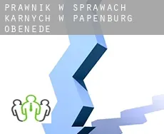 Prawnik w sprawach karnych w  Papenburg-Obenede