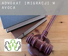 Adwokat imigracji w  Avoca