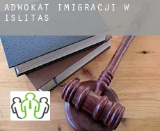 Adwokat imigracji w  Islitas
