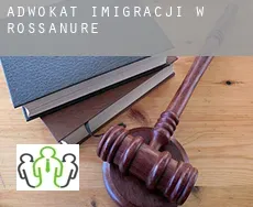 Adwokat imigracji w  Rossanure