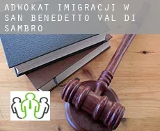 Adwokat imigracji w  San Benedetto Val di Sambro